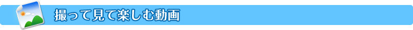 撮って見て楽しむ動画